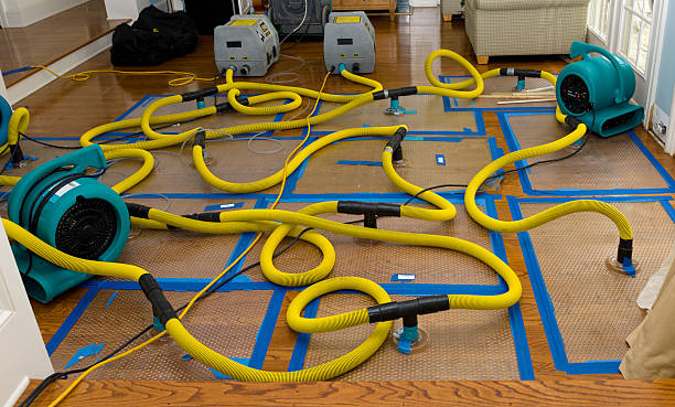 Professional Crawl Space Water Removal technician working in Wells, MN